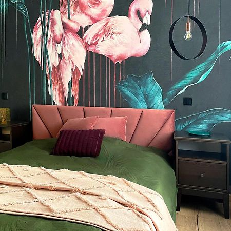 Apartamenty Paderewskiego 1 بيدغوستيا المظهر الخارجي الصورة